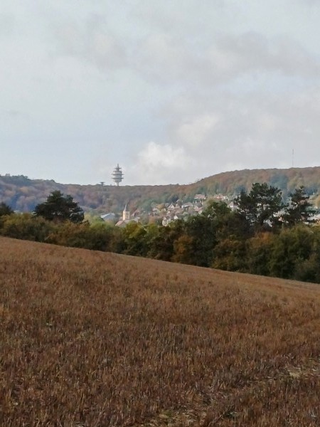 photo de profil Elisabeth à DIJON