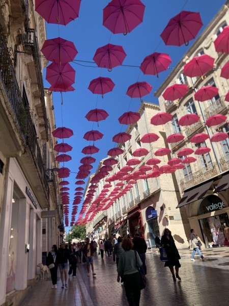 photo de profil Elise à Montpellier