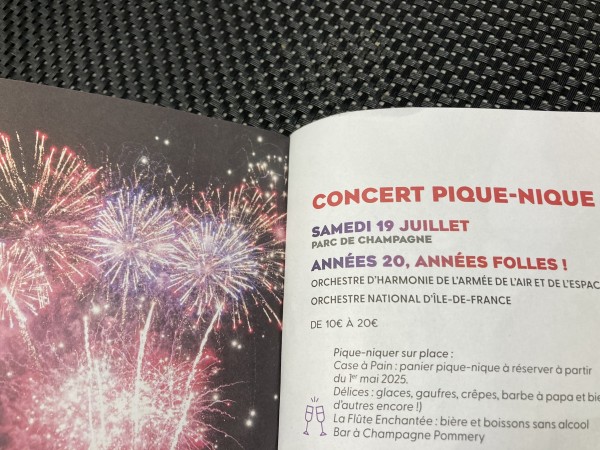 Concert pique-nique  Flâneries musicales 