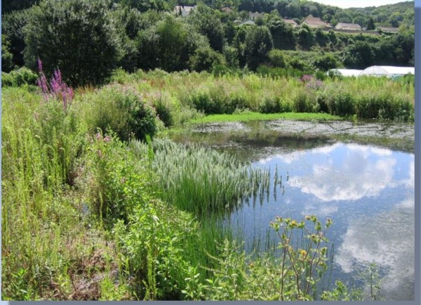 Jardins de Repainville