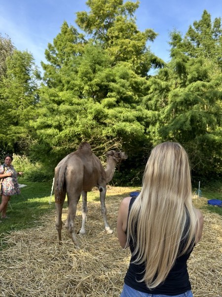 photo de profil Nadia à Amiens