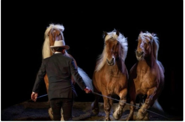 sortie 🐴 Salon du cheval 🐎  à Angers
