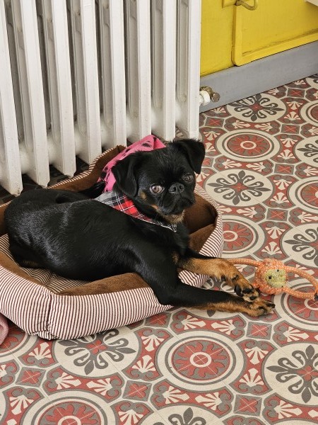 photo de profil Hanna à Le Mans
