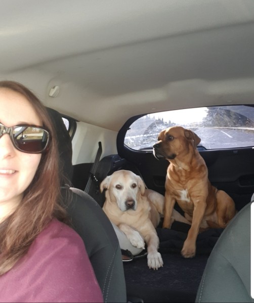 photo de profil Carole à Begles