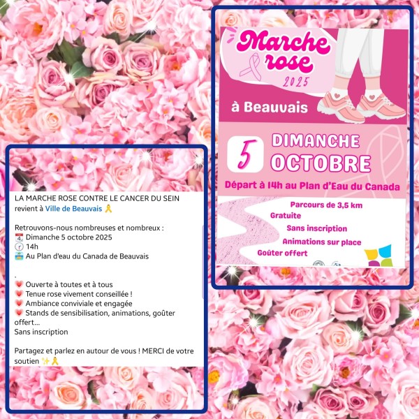 sortie Octobre Rose  à BEAUVAIS